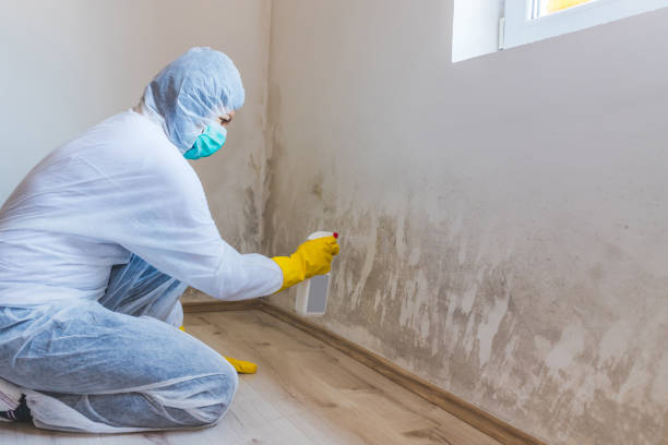 Hvac And Air Duct Mold Remediation inspection of HVAC system in Dayton